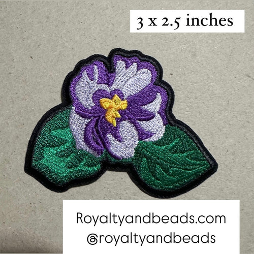African violet patch